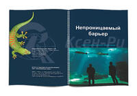 Изготовление каталогов