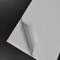 Бумага самоклеящаяся CHROM 80 P KR80 500*700 мм