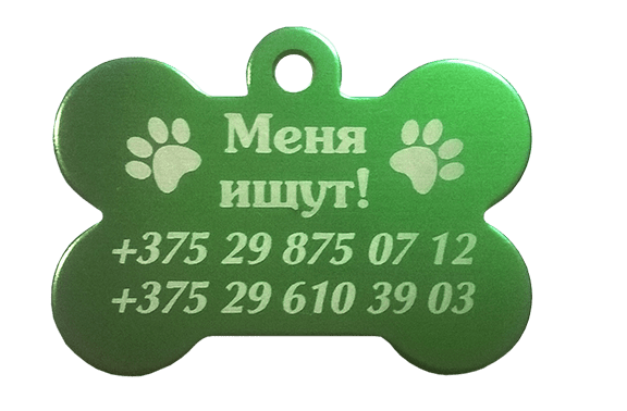 Кулон на ошейник для собаки "Пес" с гравировкой зеленый