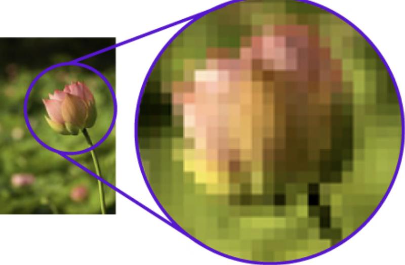 отличие векторной графики от растровой